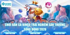 Chơi Bắn Cá Bingo Trải Nghiệm Săn Thưởng Sống Động 2026