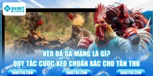 Kèo Đá Gà Mạng Là Gì? Quy Tắc Cược Kèo Chuẩn Xác Cho Tân Thủ